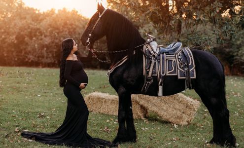 Crystal Goodman Photography