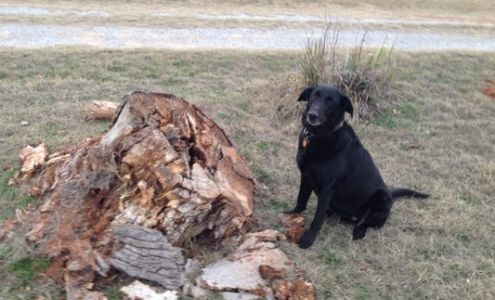 Scott Insurance Cyril