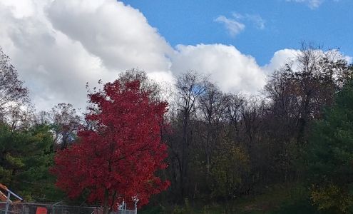 Roanoke Auto Auction Inc