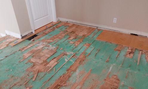 Virginia Restoration Experts