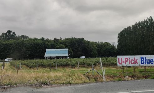 MJC Auto Body & Paint