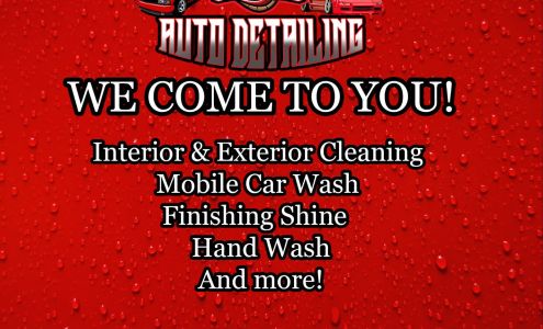 Vipers Auto Detailing