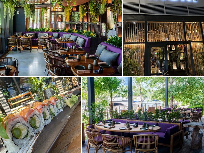 Tanuki River Landing