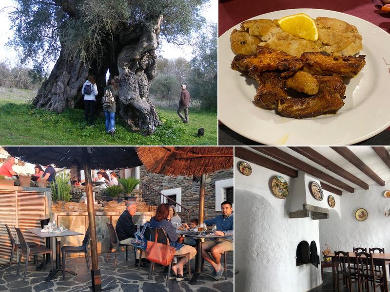 Xarez Rua de Santiago 33, 7200-175, Portugal