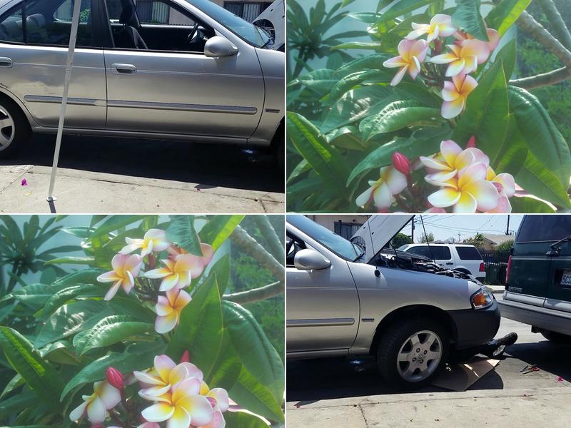 J O & Sons Auto Electric