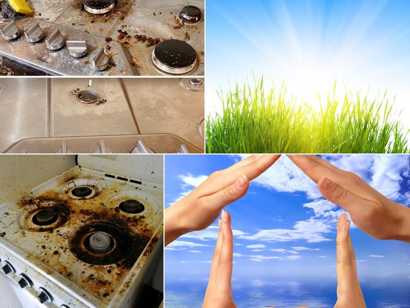 SACRAMENTO GREEN CLEAN REFERRAL AGENCY