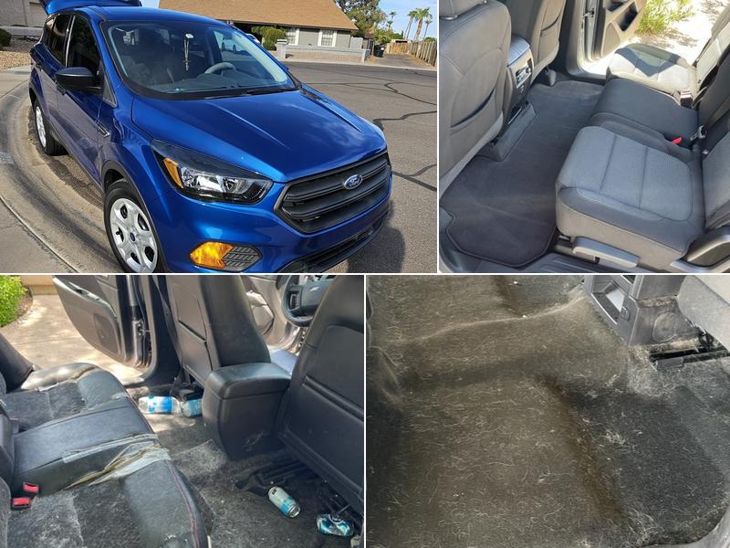 Dirty Bird Auto Detailing