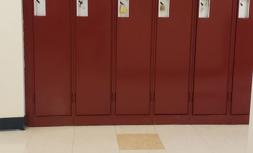 Sanilac County Community Mental Health Sandusky