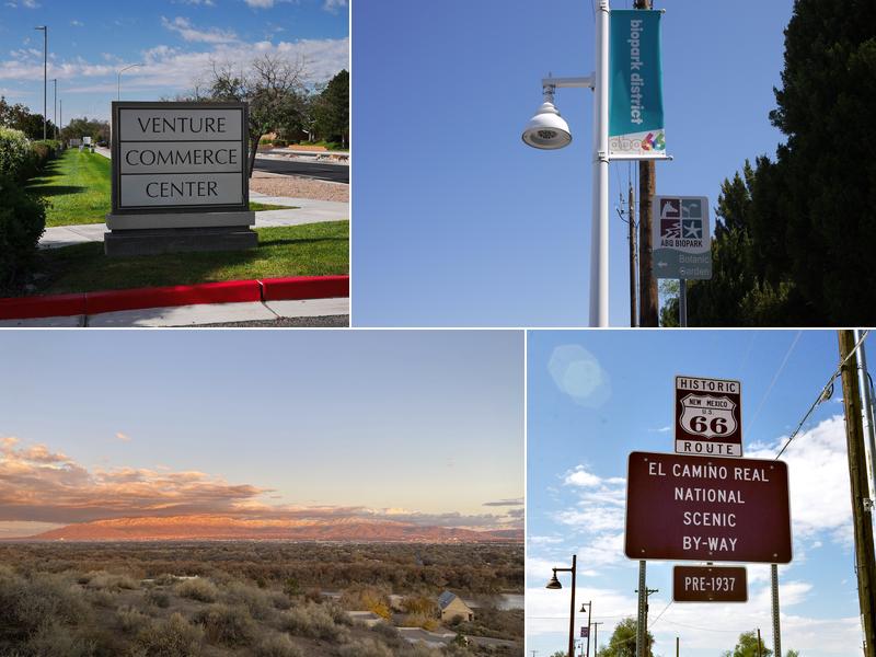 Digital Reputation Group - Digital Marketing