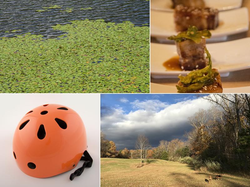 Design Data Concepts LLC