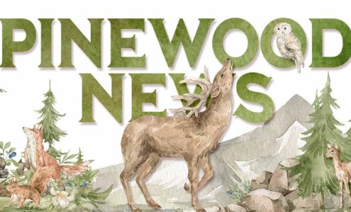 Pinewood News Munds Park