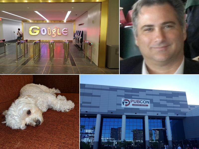 AdMoreZing - Converting Internet Strategies Into Sales