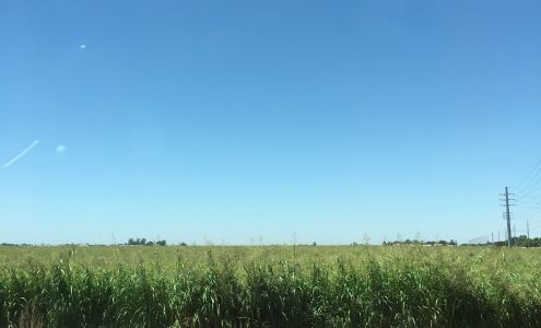 River Cities Adjusters