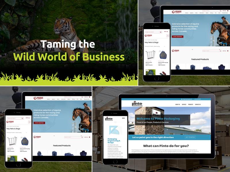 ZOO Media Group Inc.