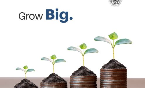 Wise Roots Marketing Agency