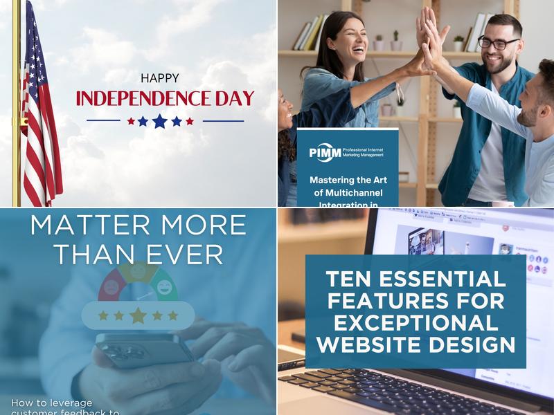 PIMM | Professional Internet Marketing Management