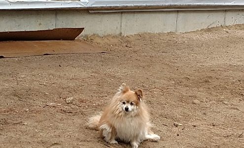 Avalon home inspections nh Winter Rd, Effingham New Hampshire 03882