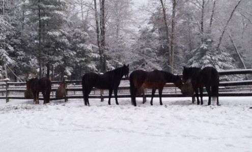 WSI Digital Marketing