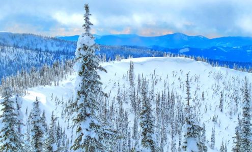 Moore Web Exposure, LLC