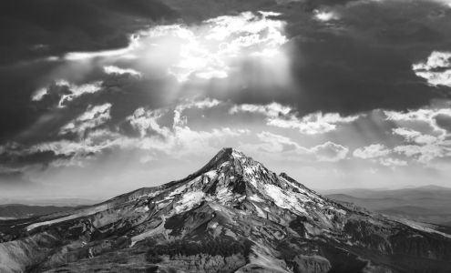 Limelight Department