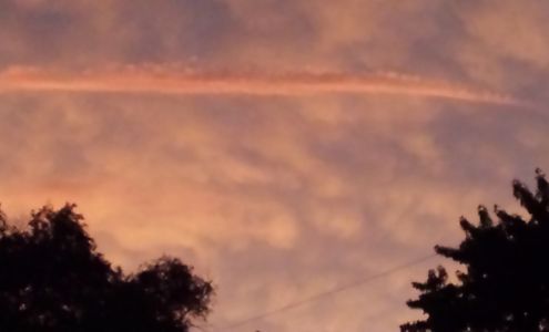 Henry Lester & Associates