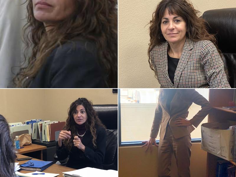 Laina T. Chikhani, Attorney at Law