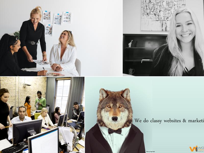 Wolfe Interactive, Inc.