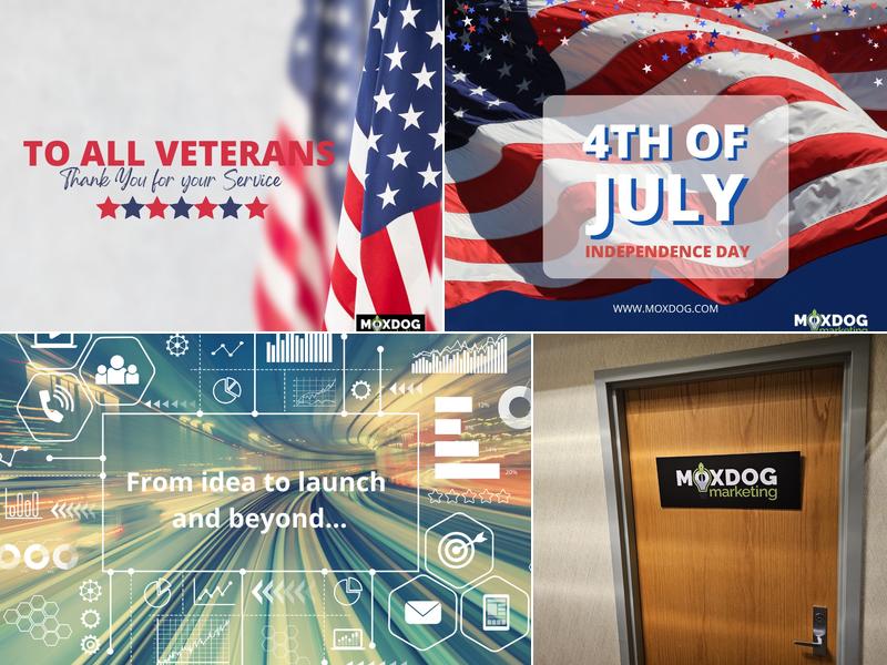 MoxDog Marketing Group