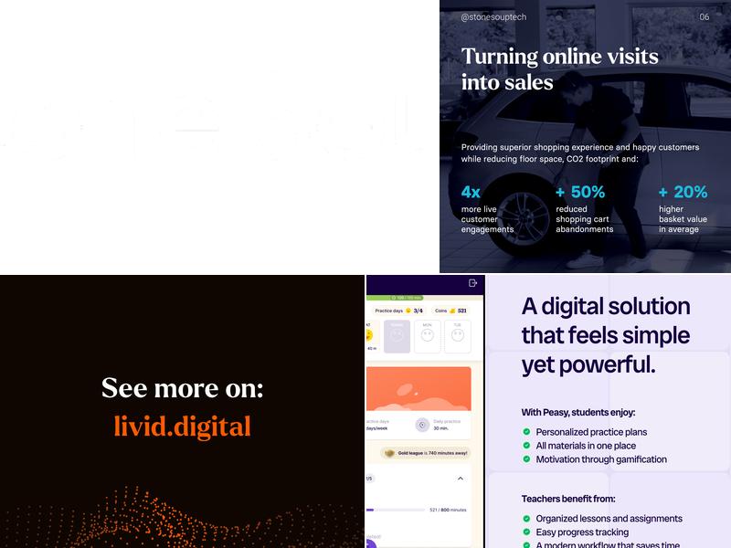 Stone Soup Tech Solutions, LLC