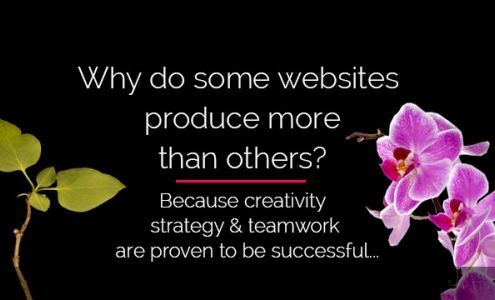 North Star Web Services