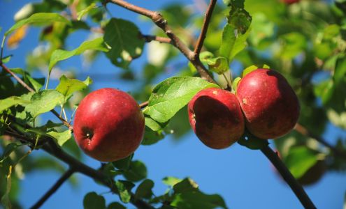 Thomas Hoebbel Photography and Video