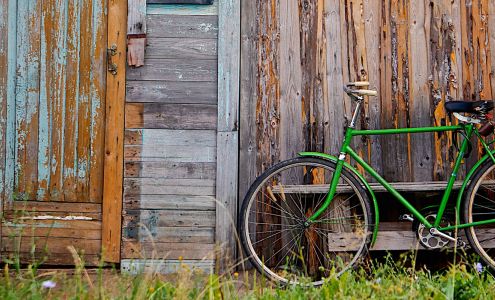 Shoreline Digital Marketing 585 Crestwood Dr, Big Bear Lake California 92315