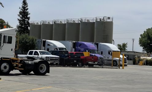 Primavera Marketing Linden