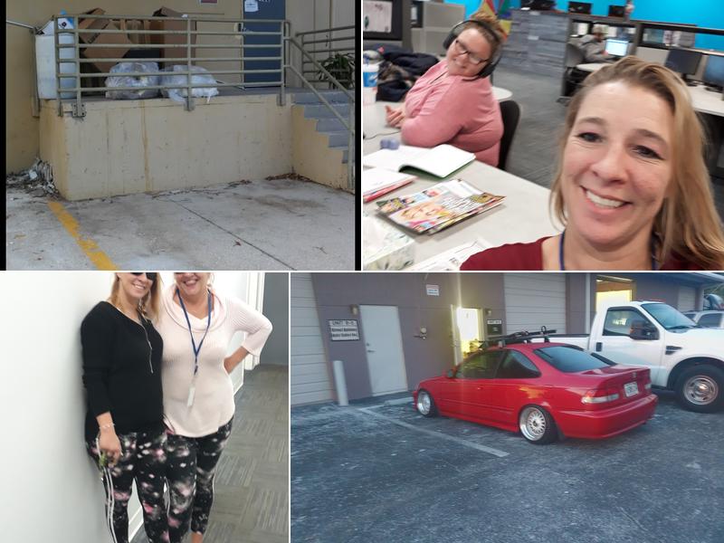 Digital Media Solutions