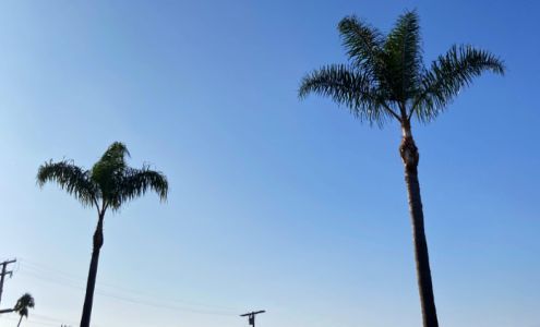 Blaster Web Services