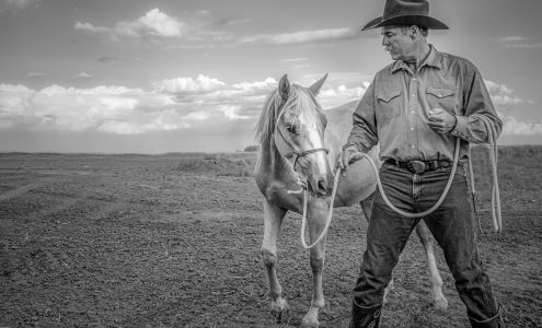 Cornelius Matteo Photography