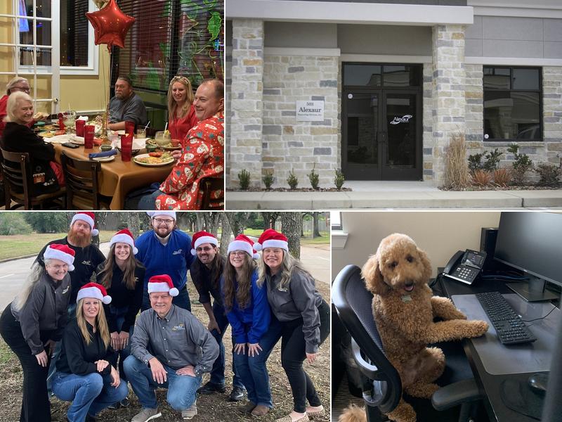 Alexaur Technology Services Inc