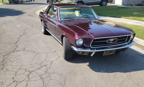 Quality Collision Center