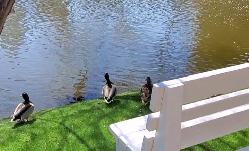 A-Town Glass & window