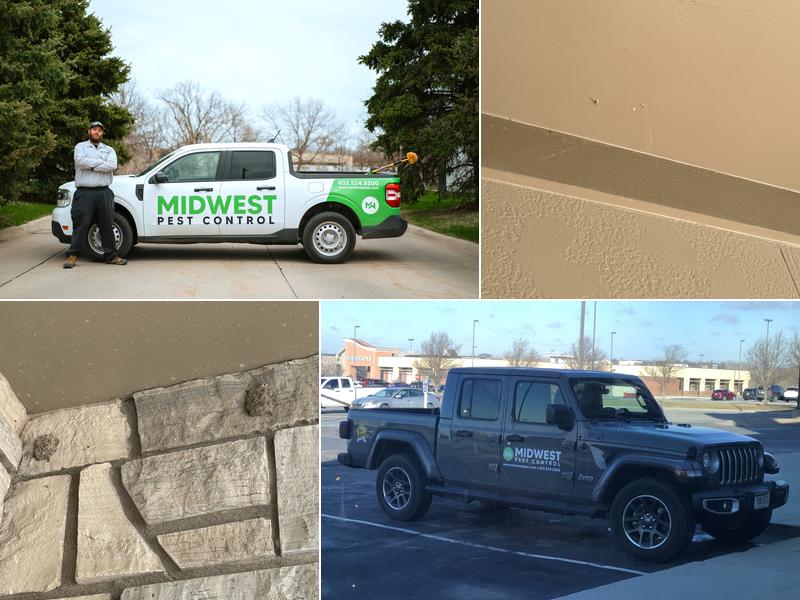 Midwest Pest Control