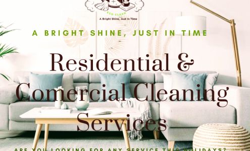 Vacuum In Action LLC