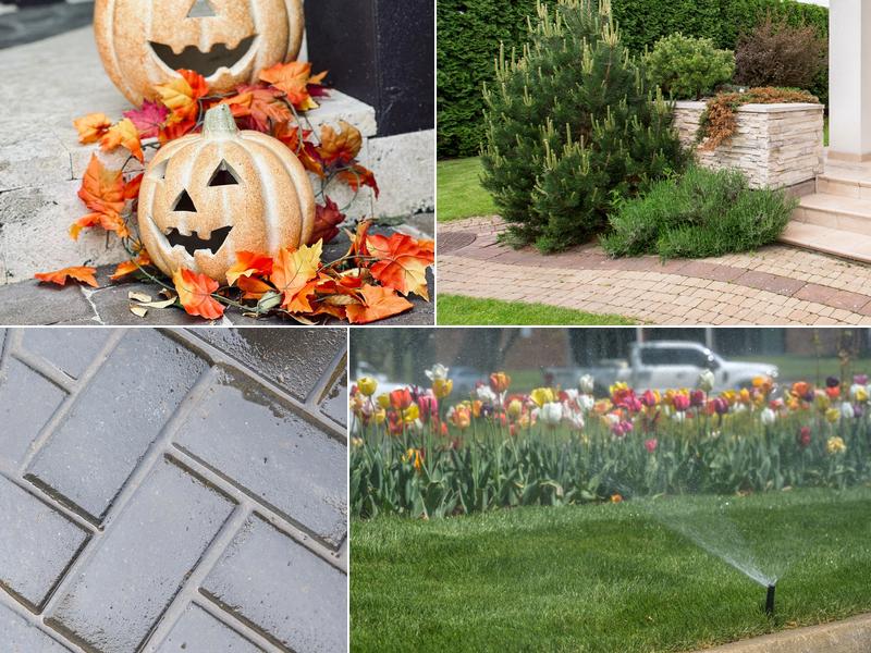 Quality Cut Lawn Care