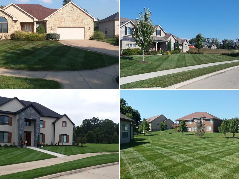 Budget Friendly Lawn Care LLC
