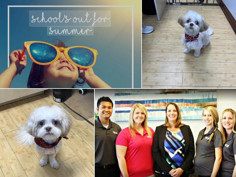 Bright Smiles Dental