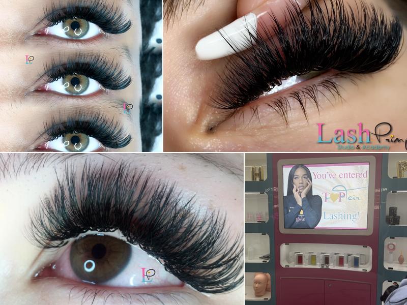Lash Primp Studio & Academy