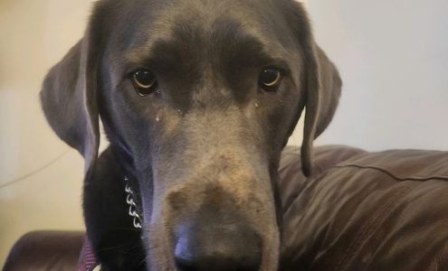 Summit Dental Health