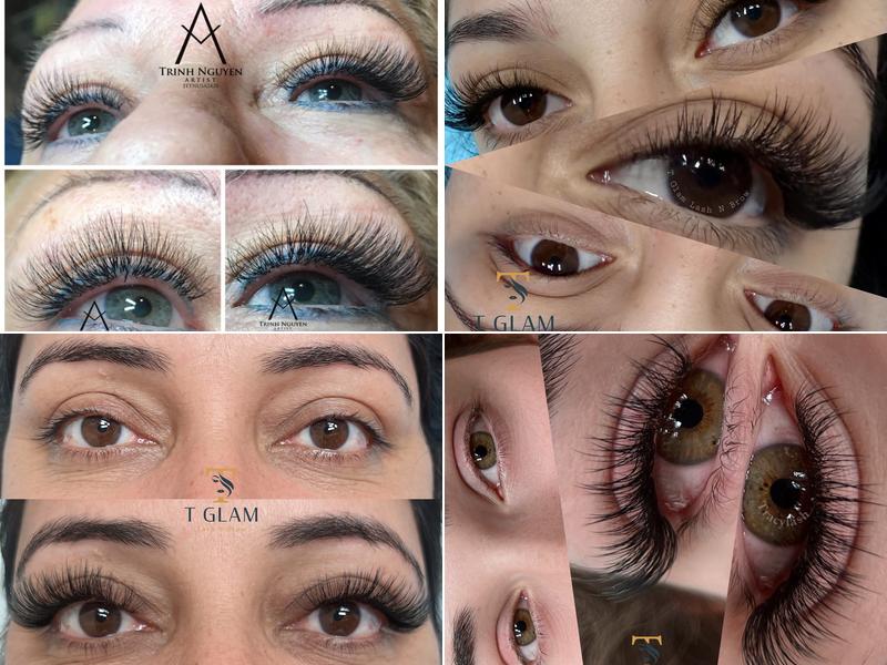 T Glam Lash and Brow
