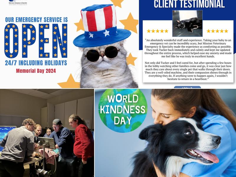 Christiansen Kevin J DVM