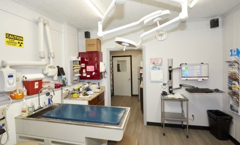 Todd A. Goodman, D.V.M. 5915 Broadmoor St, Mission Kansas 66202