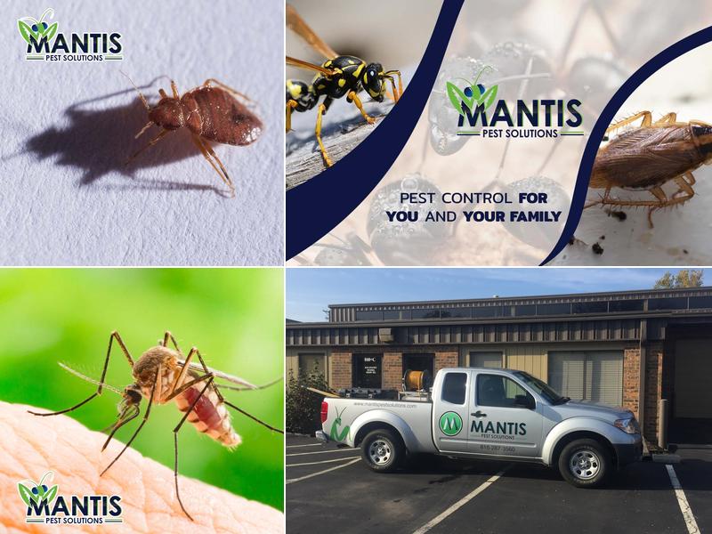 Mantis Pest Solutions